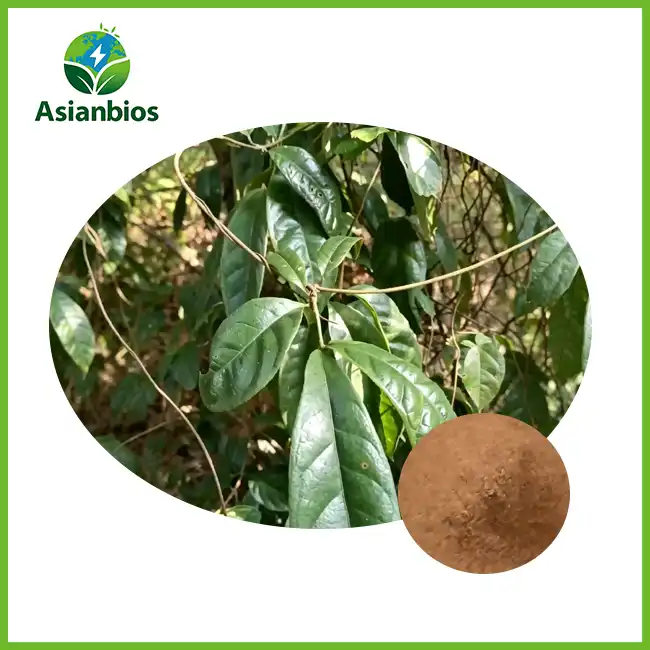 Morinda Officinalis Extract